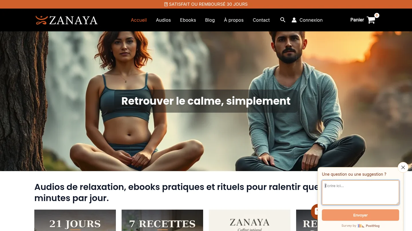 Capture de la page d’accueil de Zanaya